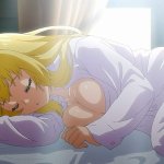 shin no nakama ja nai hentai