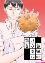 hinata x kageyama yaoi manga