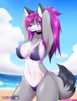 chiro hentai gallery furry