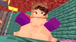 minecraft hentei