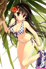 三笠同人h