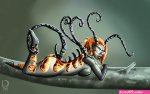 An adorable caterpillar by nightargen