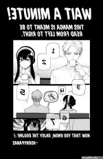 Spy x Sex comic porn