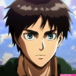 which anime kin that makes me look like a male manipulator are you