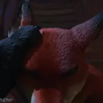 Wolf and Fox having fun