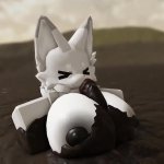 Roblox furry gets fucked in quicksand and then fucking dies 1