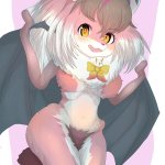 Brown Long-eared Bat kemono Friends Porn