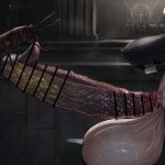 Futanari sisterUrethral fuck by Insect
