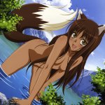 Holo