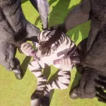 FMM Threesome Furry Zebra Double Penetrated by Huge Cock Horses Yiff 3D Hentai