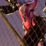 D.Va x Widowmaker Futa
