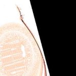 NAMI BREAST EXPANSION GIF by witchking00