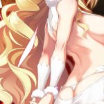 Shinmai Maou no Testament