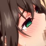 NTR The Anima -hentai anime