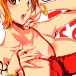 Hentai: One Piece Erotic World Manga