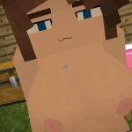 Fucking all the Girls from Jennys Mod