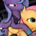 MLP 3D FUTA PONIES FLUTTERSHY X LUNA