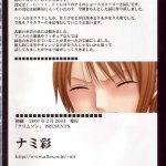 下北泽幕府