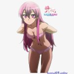 akame ga kill hentai
