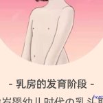 乳房