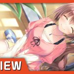3ds themes hentai