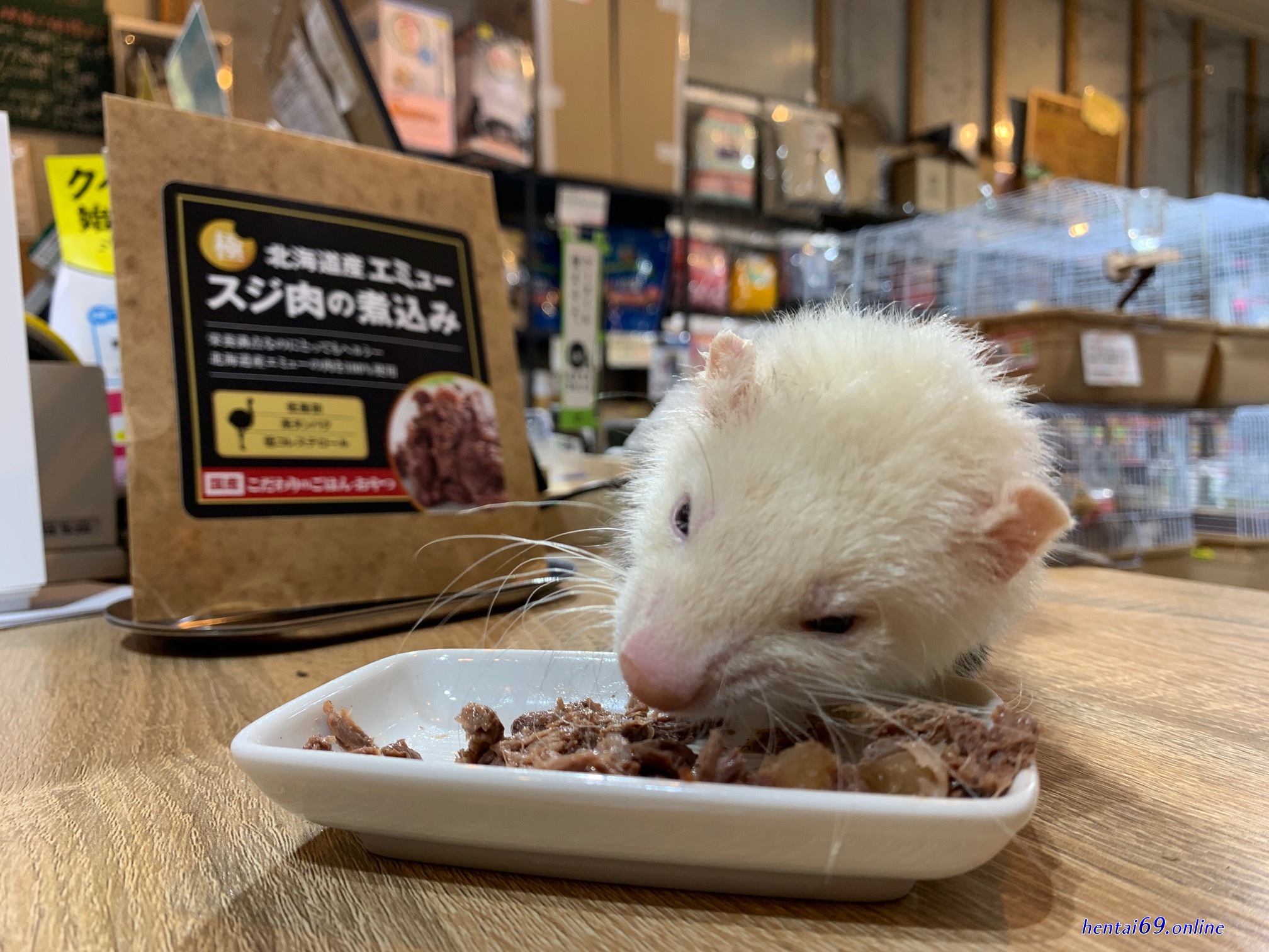 ハムスターの煮込み