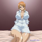 okiku one piece comic hentai