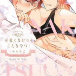 女装男子をメス堕ちさせてみた sexマンガ erocool