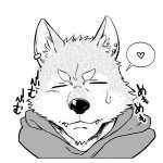 furry manga