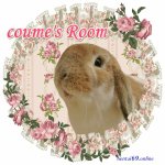 うさぎちゃん気をつけて download