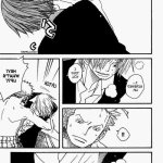 one piece yaoi manga