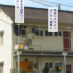逝印乳业