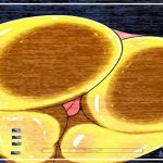 fnaf hentai images