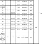 真人漫画 国际航班