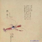 烟ハク いくらでヤれますか