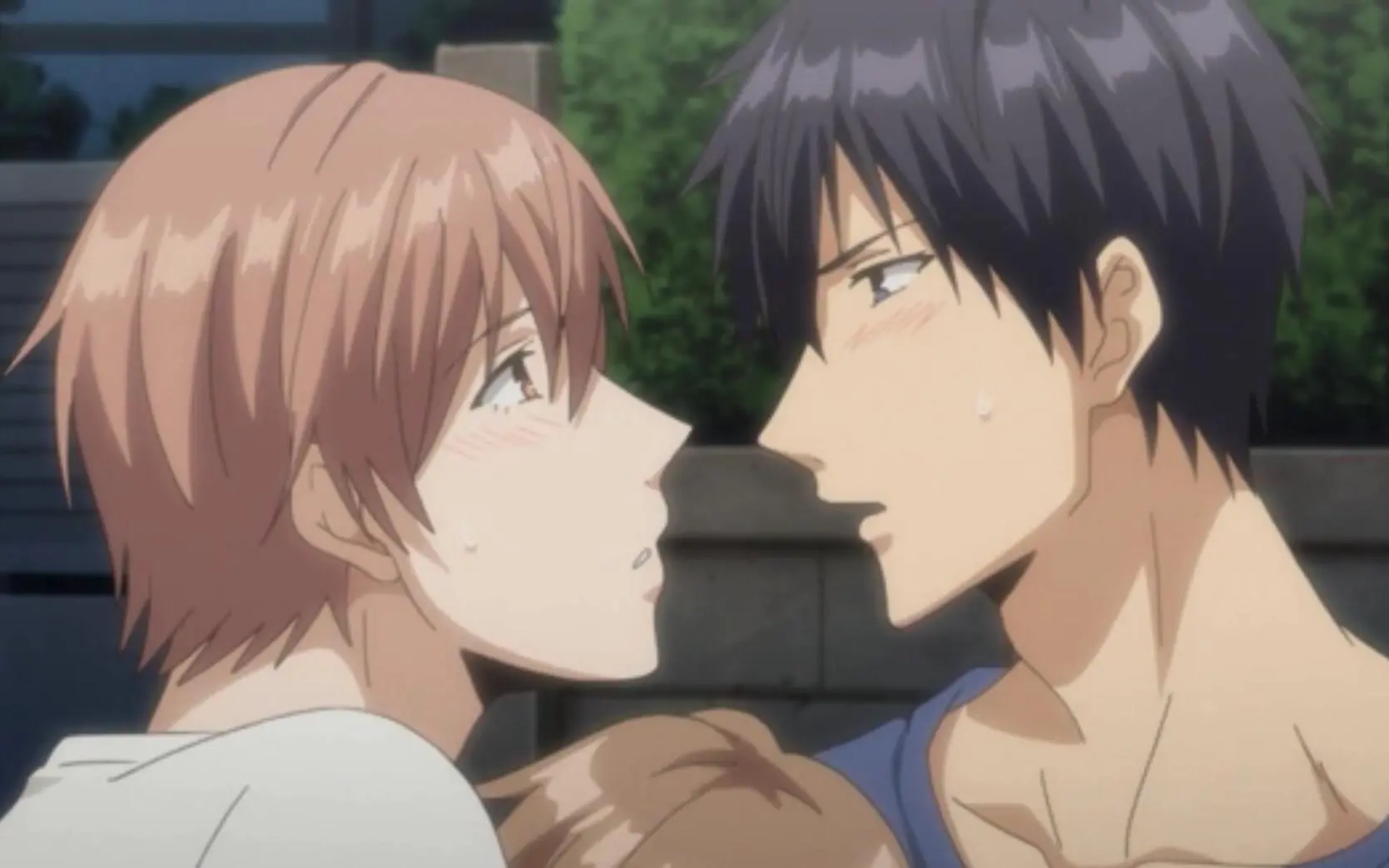Watch yaoi anime eng sub