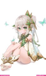 纳西妲成人
