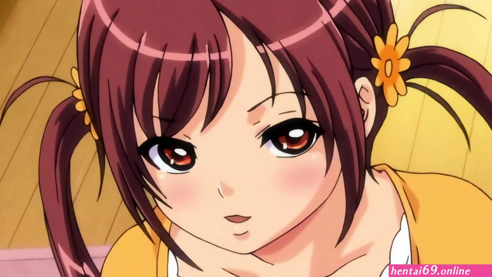 Houkoujo the animation