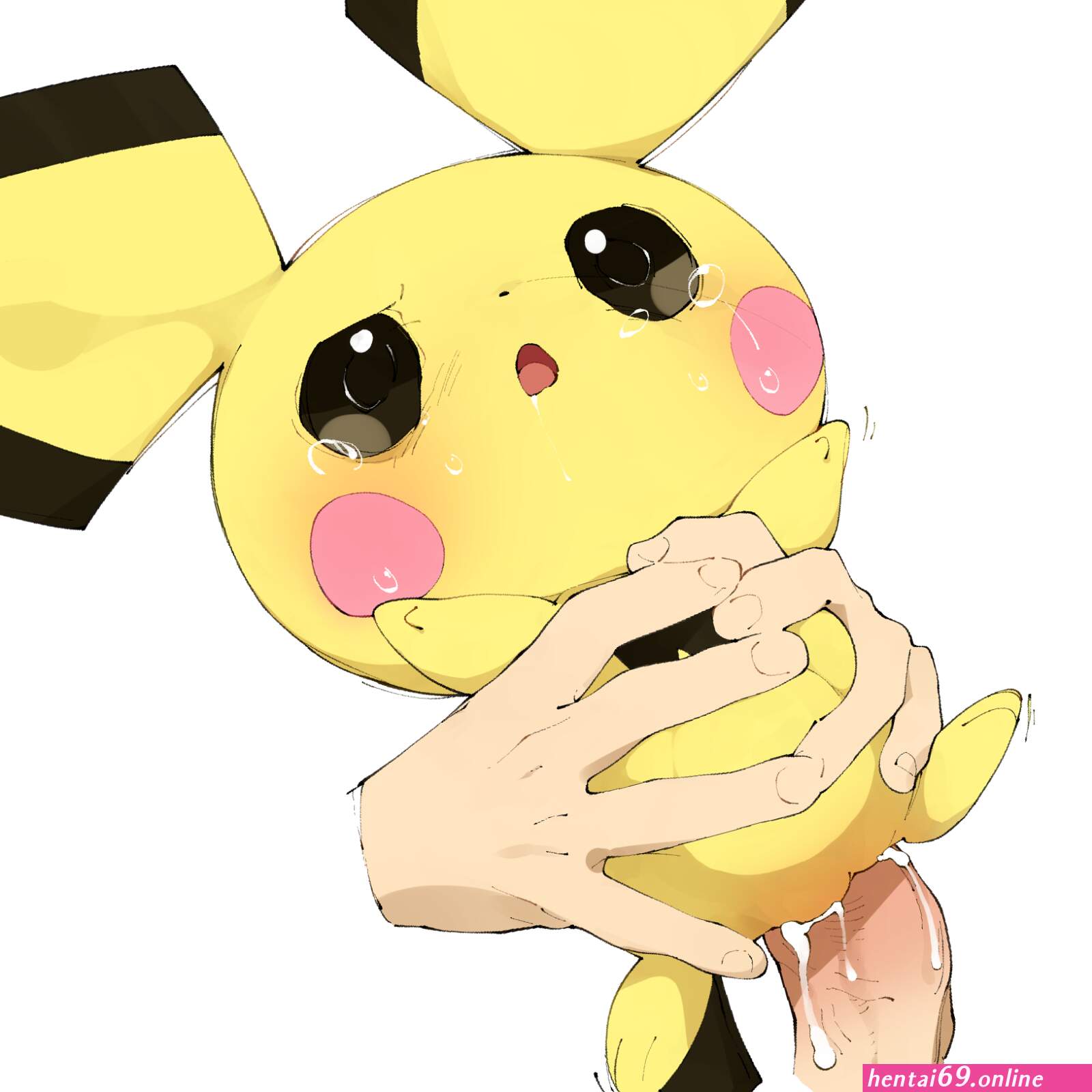 Pichu r34