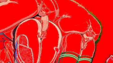 Porn gif hentai