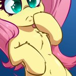 Futa Fluttershy by WitchTaunter on Newgrounds